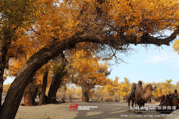 秋天来了该好好生活,秋天来了又该准备秋装了