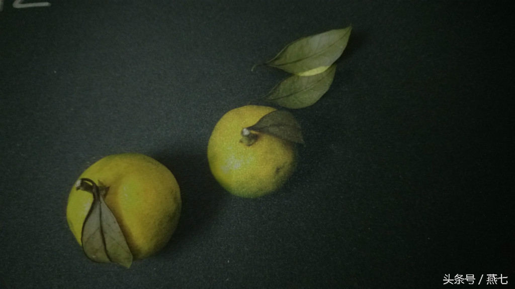 中兴天机7新品发布会视频,中兴天机七手机