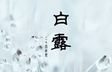 闇蹭粠浠婂鐧芥湀鏄晠涔℃槑瀵瑰簲鑺傛皵,鐧介湶鐨勮瘲鍙ラ湶浠庝粖澶滅櫧