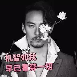 一人分饰两角,明星一人分饰多角的剧