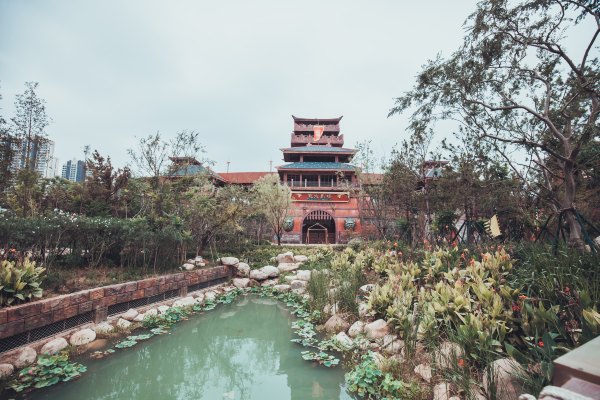 合肥青年旅游团,合肥旅游团迪士尼