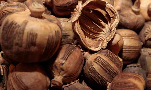 护肝抗病毒中草药,抗病毒的中药对肝脏有什么作用