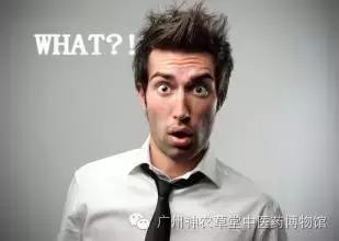 中医不懂解剖学,中医经络穴位解剖学