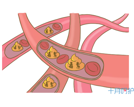 孕期降火的办法有哪些食物,孕期可以吃什么降火的东西