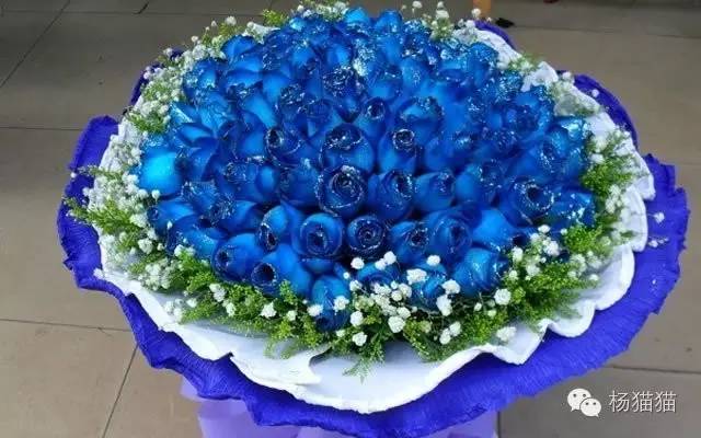 11朵戴安娜玫瑰花语,11朵粉玫瑰花的花语