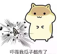 王宝强带孩子做亲子鉴定结果如何,马蓉和王宝强孩子做过亲子鉴定吗