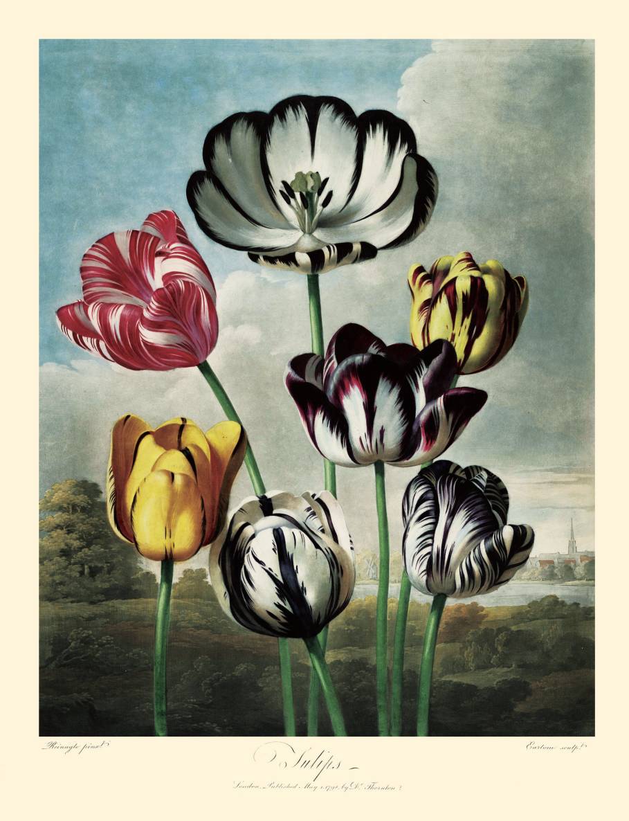 值得珍藏的16套丛书,值得看的丛书系列