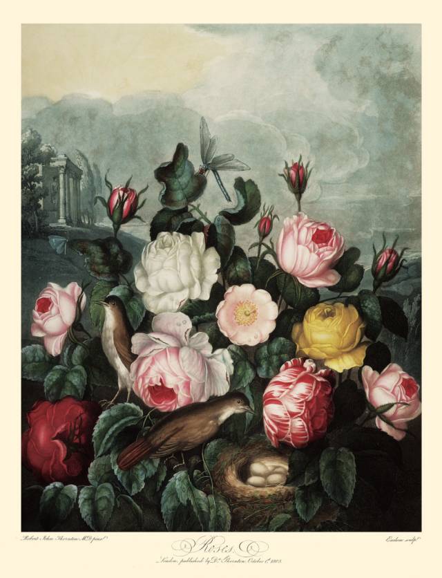 值得珍藏的16套丛书,值得看的丛书系列