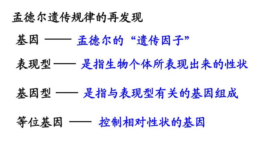 王宝强带孩子做亲子鉴定结果如何,马蓉和王宝强孩子做过亲子鉴定吗