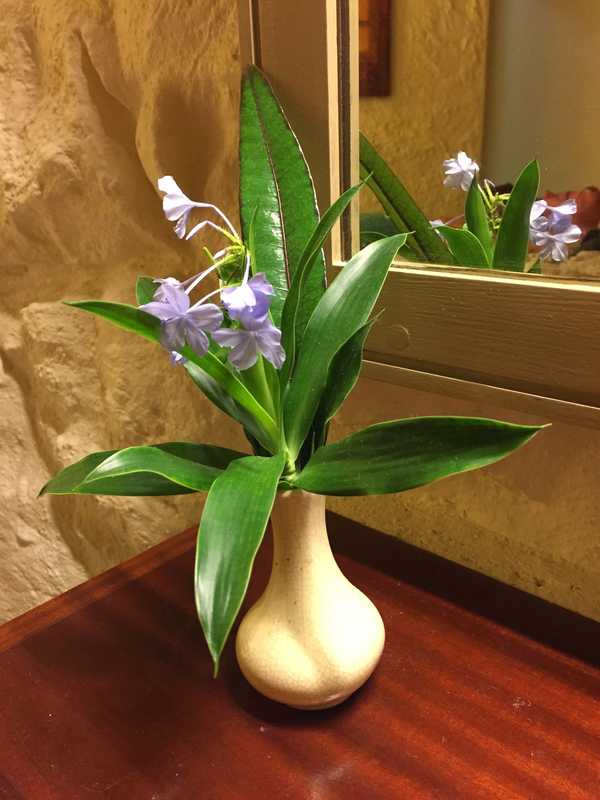 七彩世界毛里求斯游记,人间天堂的花园毛里求斯