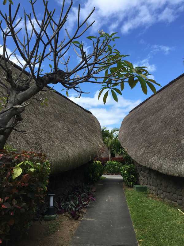 七彩世界毛里求斯游记,人间天堂的花园毛里求斯