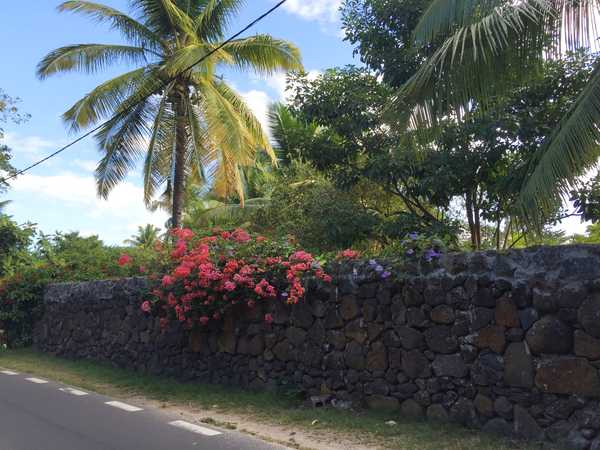 七彩世界毛里求斯游记,人间天堂的花园毛里求斯