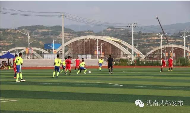 陇南九运会足球比赛宕昌代表队,陇南市2017年足球比赛