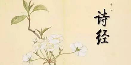 国学经典25本99元,国学经典诵读本孝经第6章照片