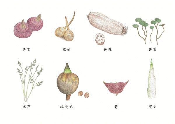 上海迪士尼六月份票价,上海迪士尼一月份票价