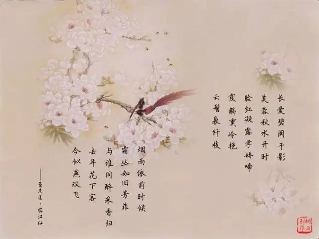 国学经典25本99元,国学经典诵读本孝经第6章照片