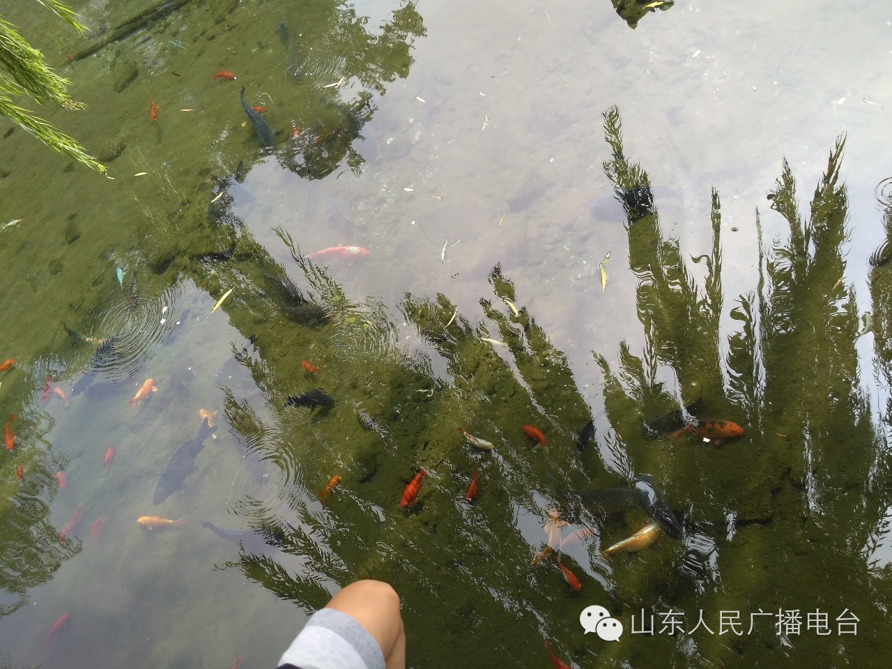 五龙潭泼水节，全家一起嗨翻天