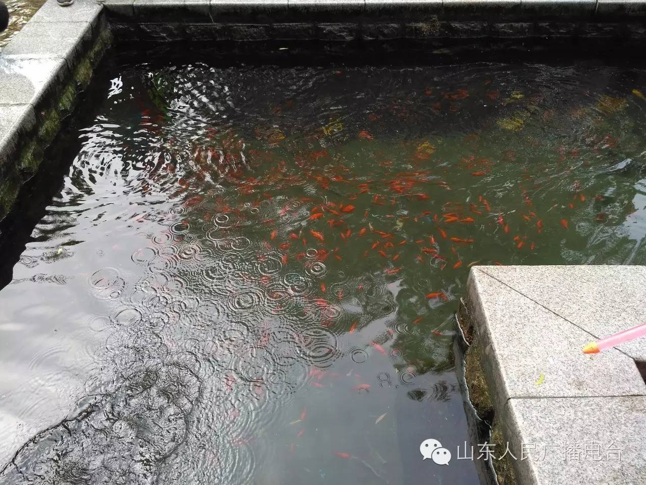 五龙潭泼水节，全家一起嗨翻天