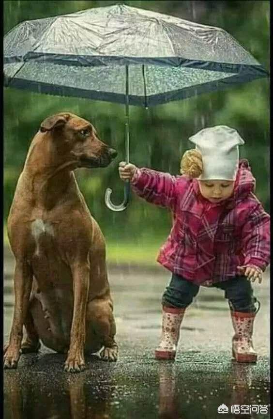 ps灯光光效插件怎么用,ps太阳光照效果插件