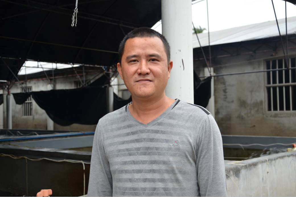 珍珠龙胆石斑鱼种苗最新价格,珍珠龙胆石斑鱼种苗价格