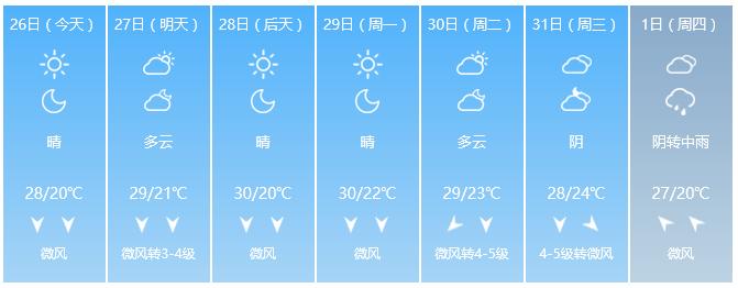天津蓝眼泪视频,天津蓝眼泪最新视频