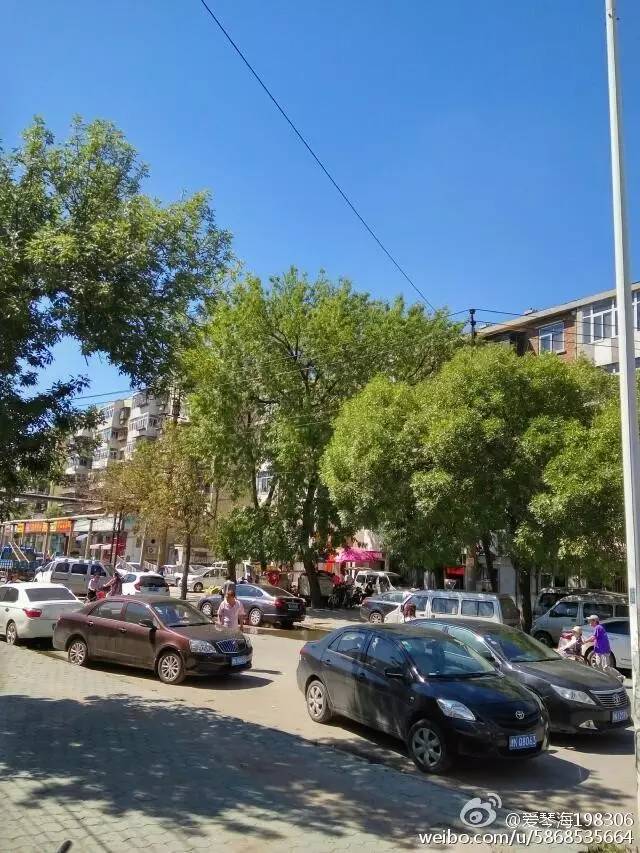 天津蓝眼泪视频,天津蓝眼泪最新视频