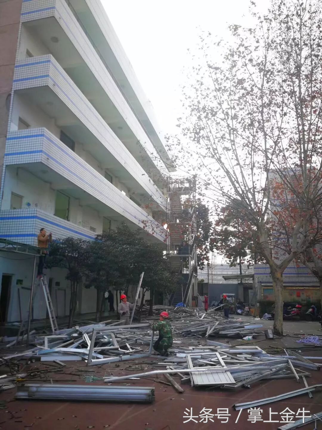 再见茶小，你好新校区！