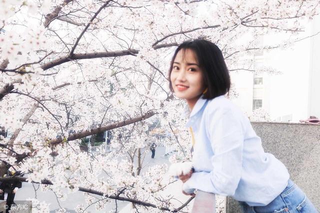 好好学习天天向上的小说,好好学习天天向上小说免费