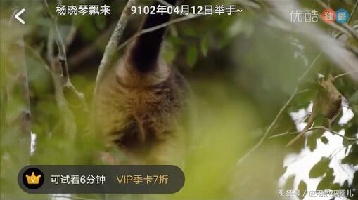 娱乐新体验-移动追剧之优酷移动端评测