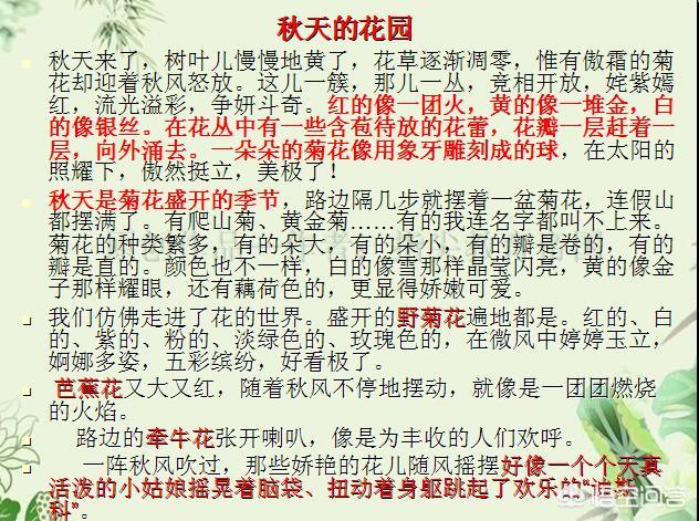 小学作文修辞手法都有哪些,小学作文精彩的修辞手法句子