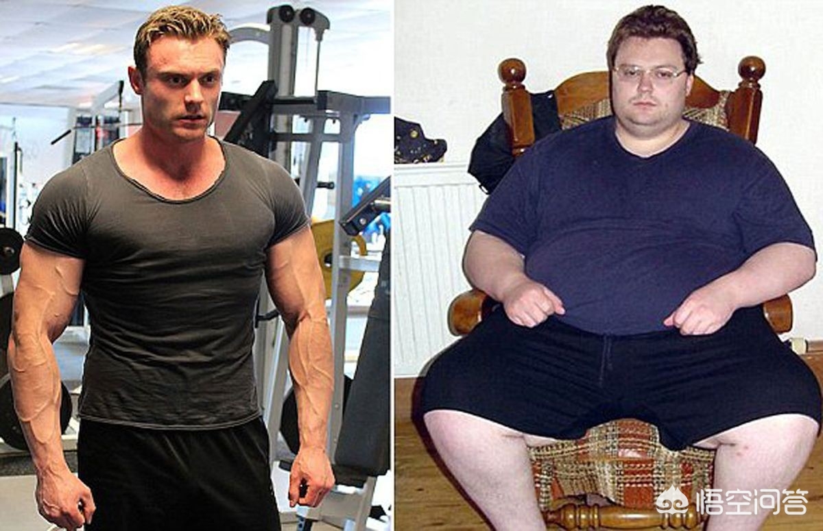 脂肪是如何排出体外的图解版本,节食脂肪怎么排出体外