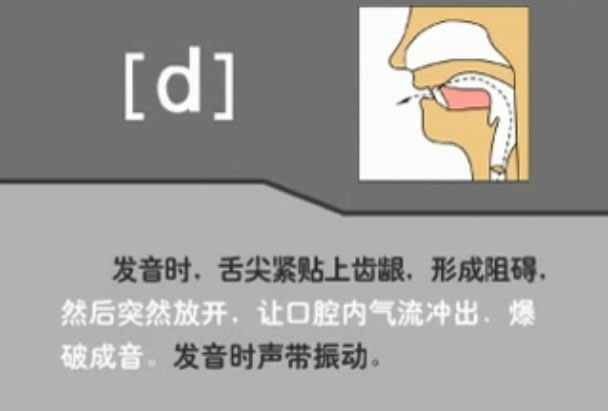 音标表48个国际音标发音教学视频,英语美式音标48个音标谐音图