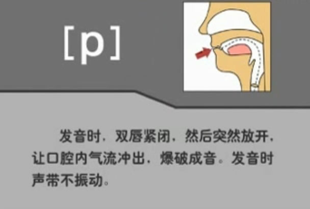 音标表48个国际音标发音教学视频,英语美式音标48个音标谐音图