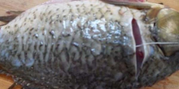 鱼去除腥味的方法,怎样煮鱼没有腥味