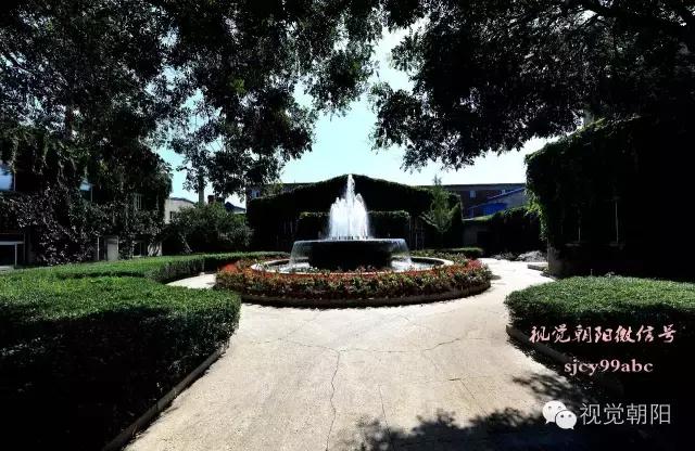 爬山虎翡翠图片大全,翡翠屏障