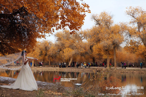 秋天来了该好好生活,秋天来了又该准备秋装了