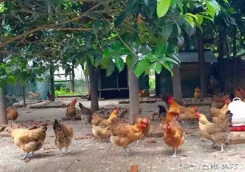 合肥附近自驾游可以去哪些地方玩,来合肥一定要玩的几个地方