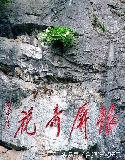 合肥附近自驾游可以去哪些地方玩,来合肥一定要玩的几个地方