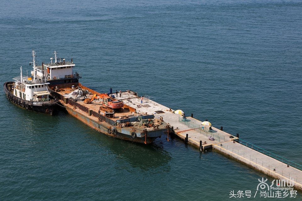 这座没有居民的小岛，是海鸥的王国，为何却叫海驴岛？