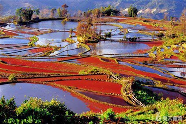 红河旅游景点大全排名榜,红河哈尼旅游景点