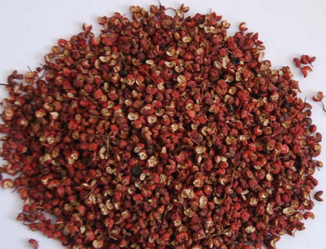 牙痛怎么办最有效最快止痛方法,牙痛怎么办快速止痛最有效方法