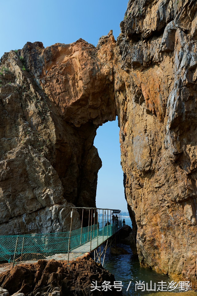 这座没有居民的小岛，是海鸥的王国，为何却叫海驴岛？
