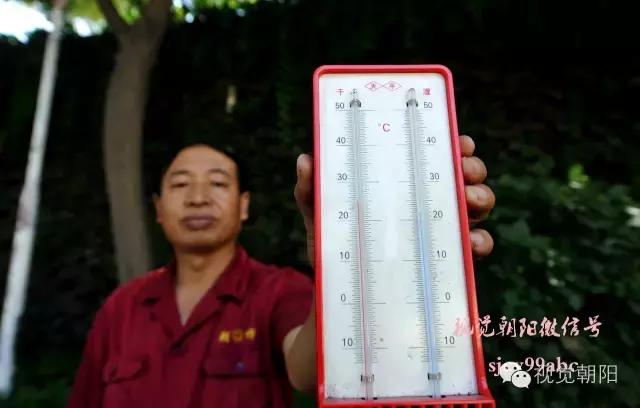 爬山虎翡翠图片大全,翡翠屏障