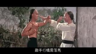 咏春拳败家仔完整视频,败家仔咏春拳口诀