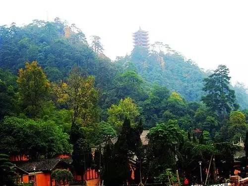 重庆十大旅游景点排名前十有哪些,重庆十大旅游景点最新