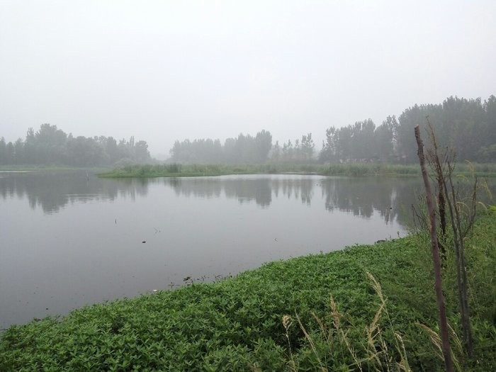 鱼儿并不会因为你用天价鱼竿而青睐于你！