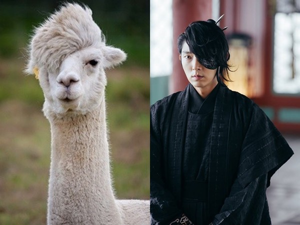 步步惊心丽撒糖,步步惊心丽全员虐心