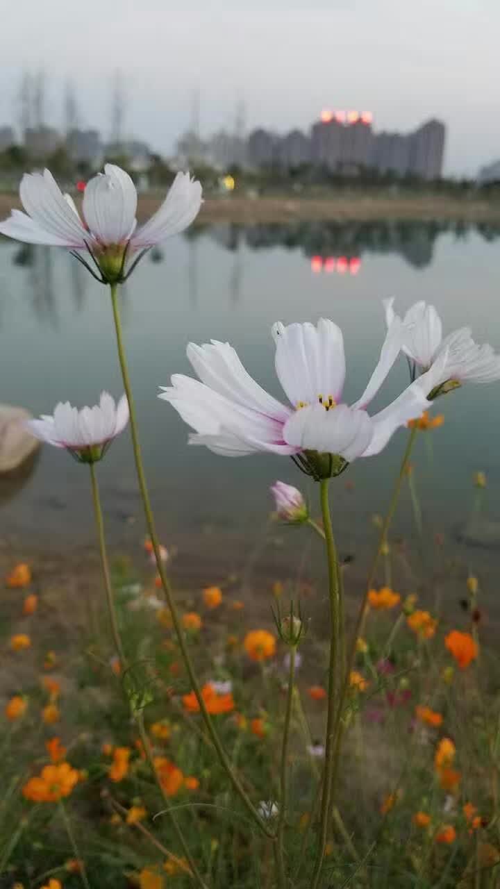 倒影摄影,天坛倒影摄影