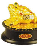 怎样知道自己家的财位在哪个位置,如何确定家里的财位在哪个位置