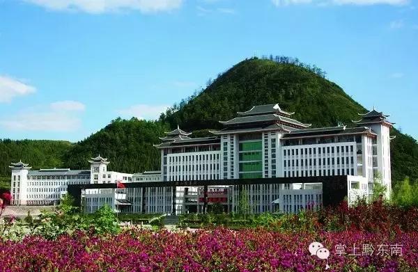 马琳奥运冠军赛,马琳的最新比赛消息